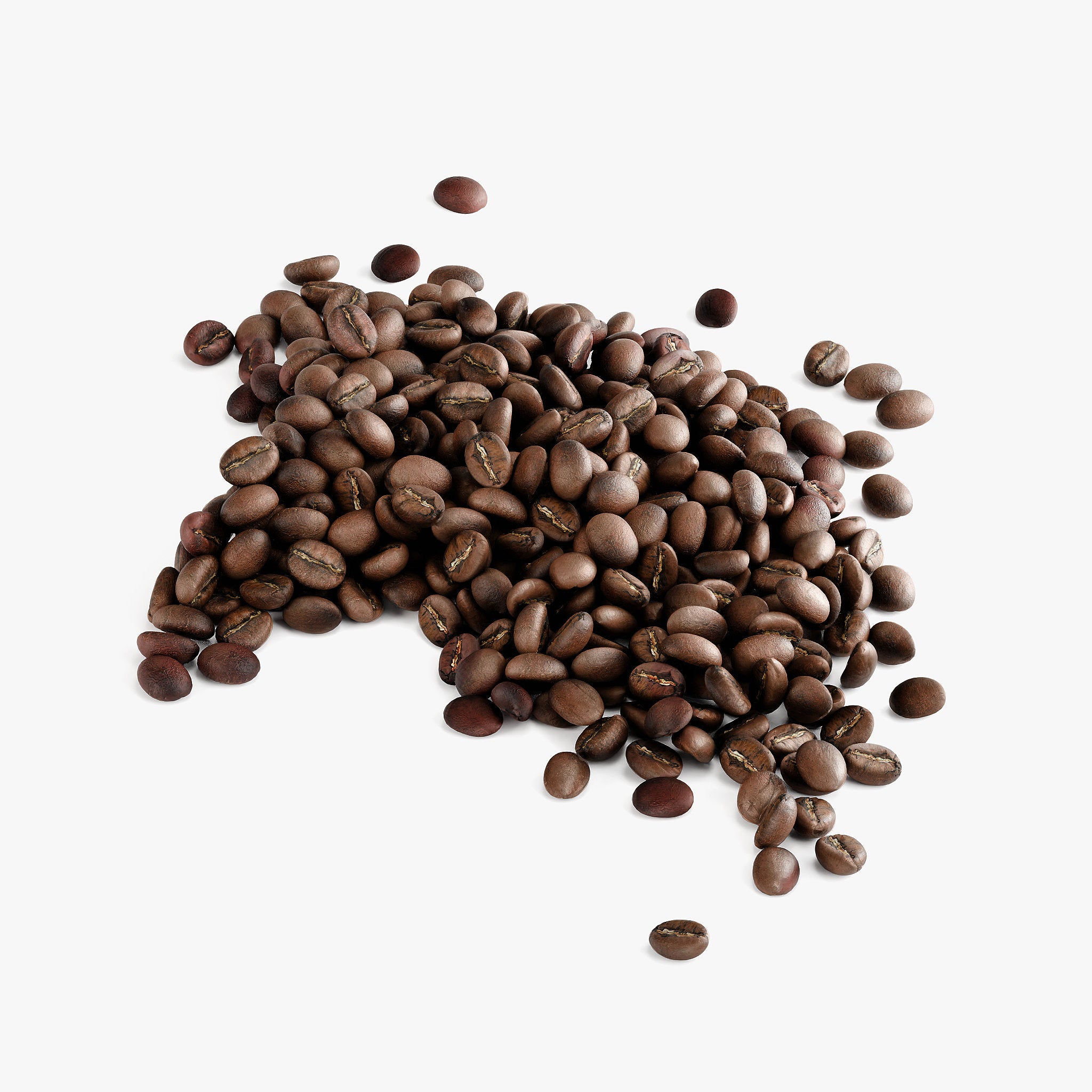 4 The Slow Bitch - F (Light Roast)